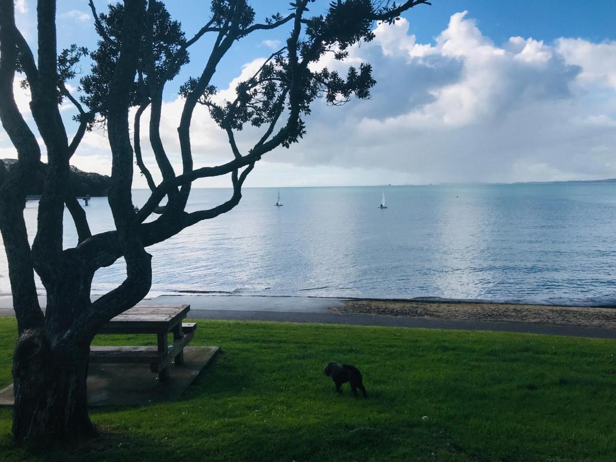 海滩山林小屋公寓 奥克兰 外观 照片