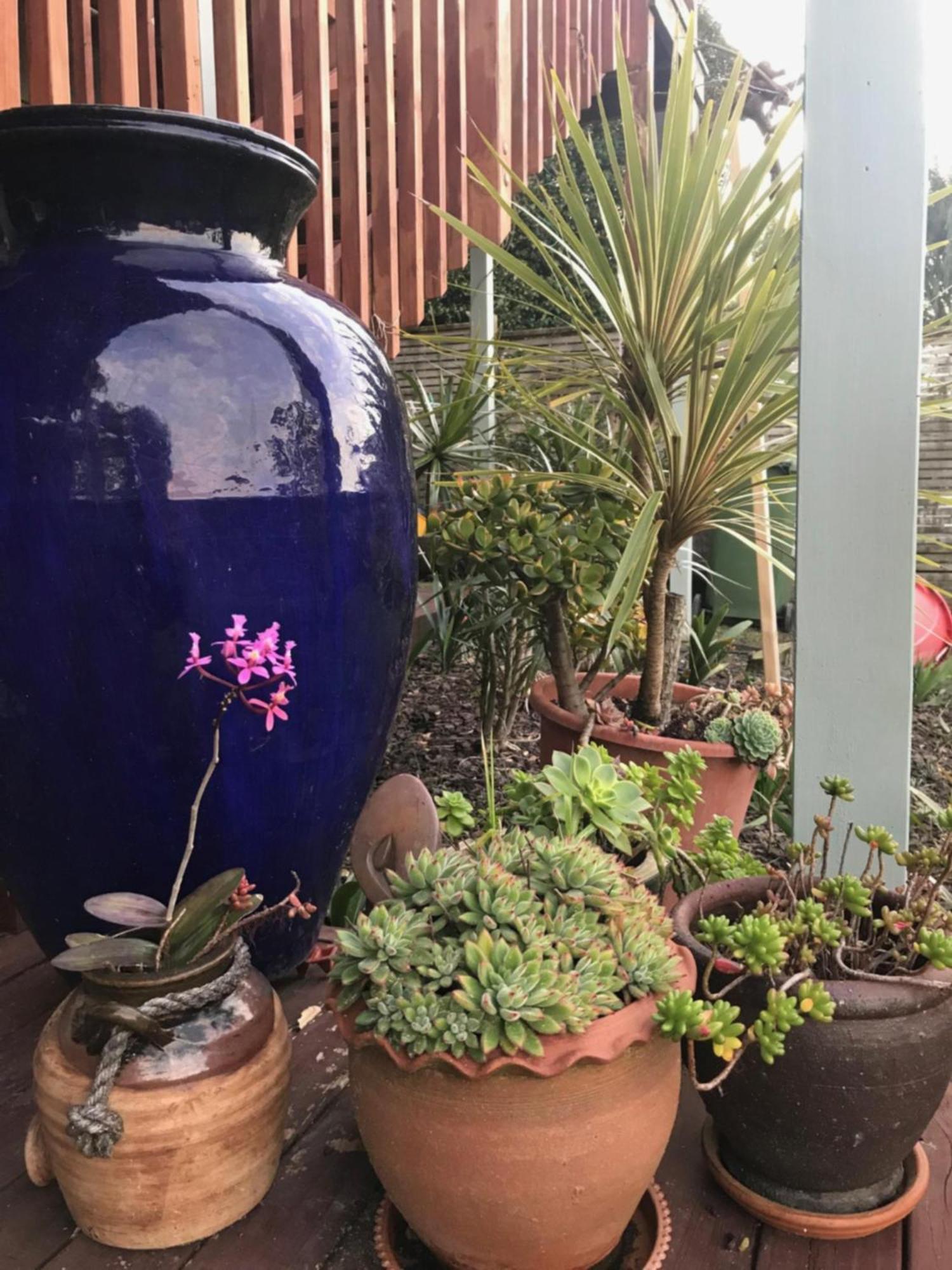 海滩山林小屋公寓 奥克兰 外观 照片