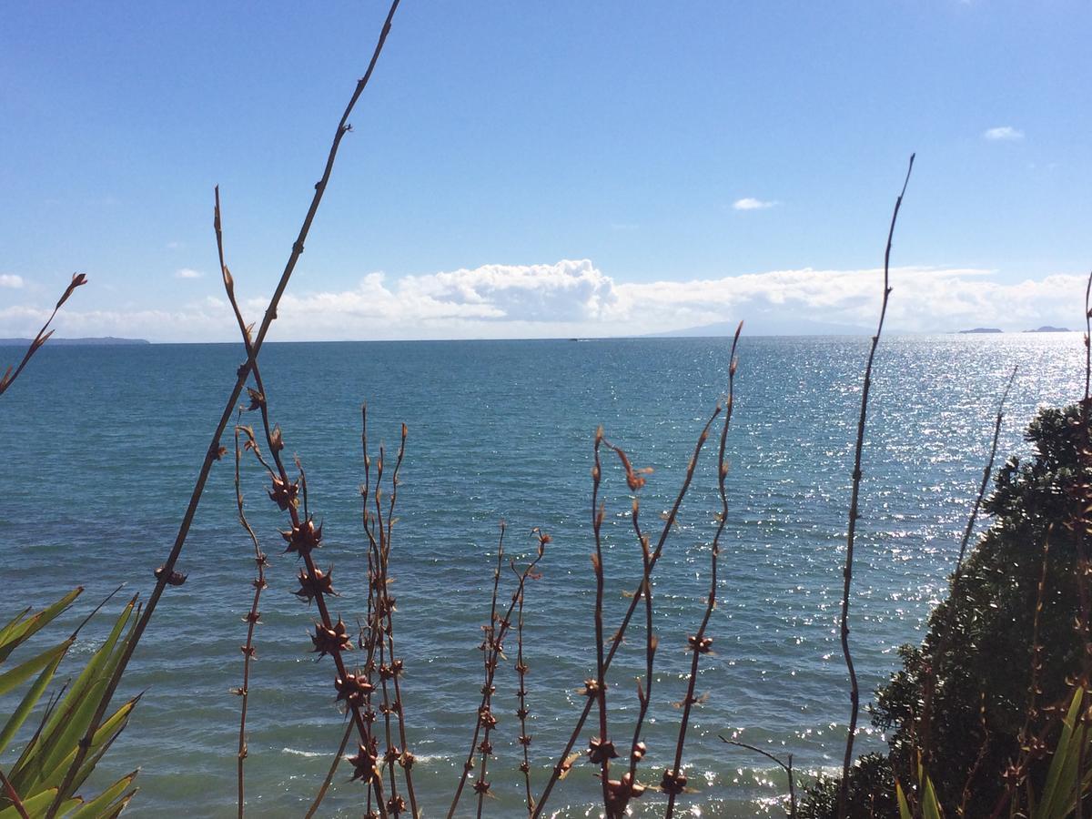 海滩山林小屋公寓 奥克兰 外观 照片